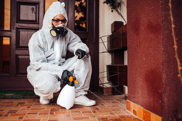 Reliable Wasp Removal contractor in Atlantic City, NJ by Show Me Pest Control